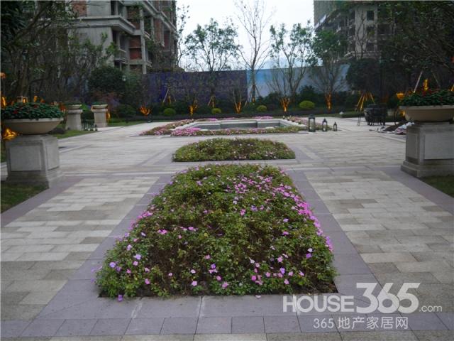 重庆茶园新区有哪些新楼盘?要详细介绍,联系方