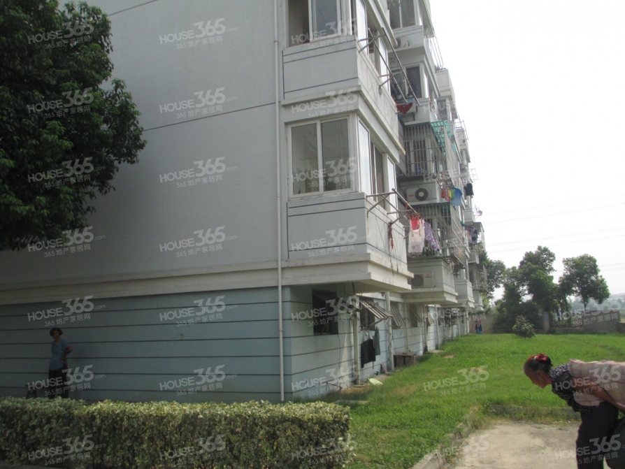 园东新村