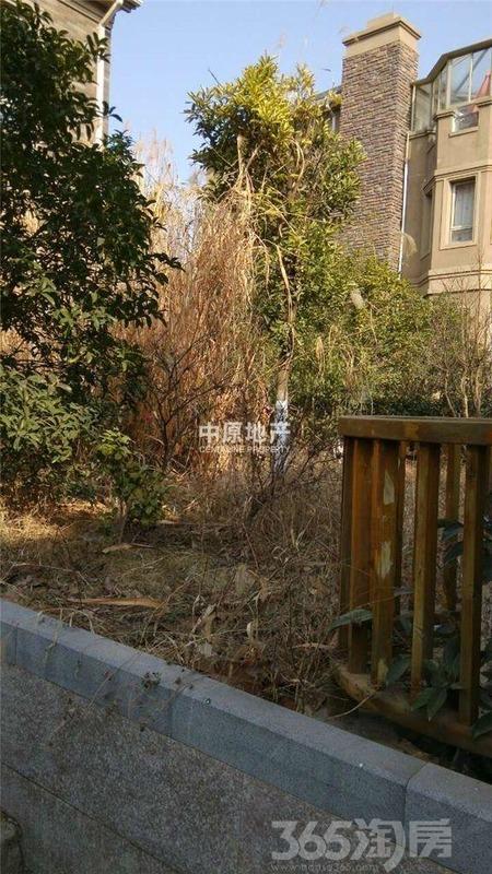 【中原 好房推荐】 将军大道 山水华门经典双拼别墅 新空毛坯 价