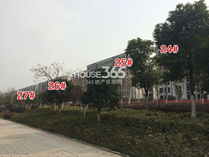 大华西溪风情澄品最新动态