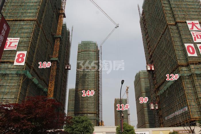 2015年6月大家运河之星项目实景--9、11、12、14、16号楼
