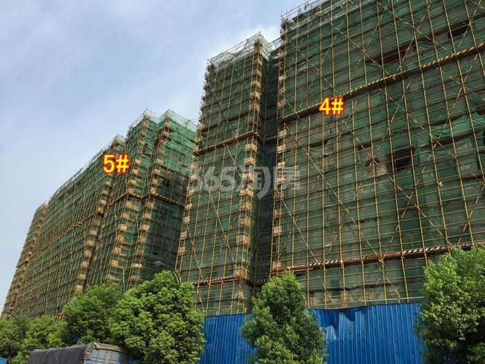 2015年7月汉嘉申花郡项目实景--4、5号楼