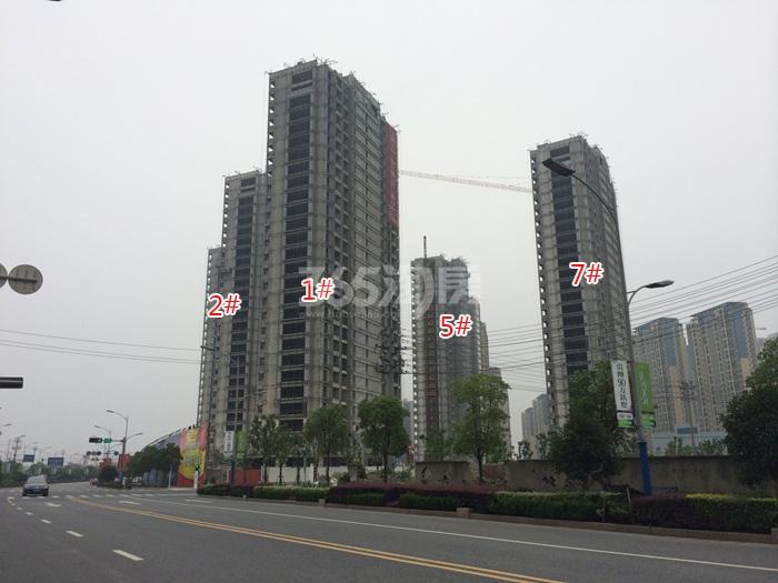 滨江金色江南1、2、5、7号楼施工实景图 2015年7月摄