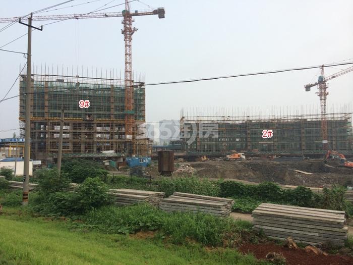 滨江东方海岸2、9号楼施工进度实景图 2015年8月摄