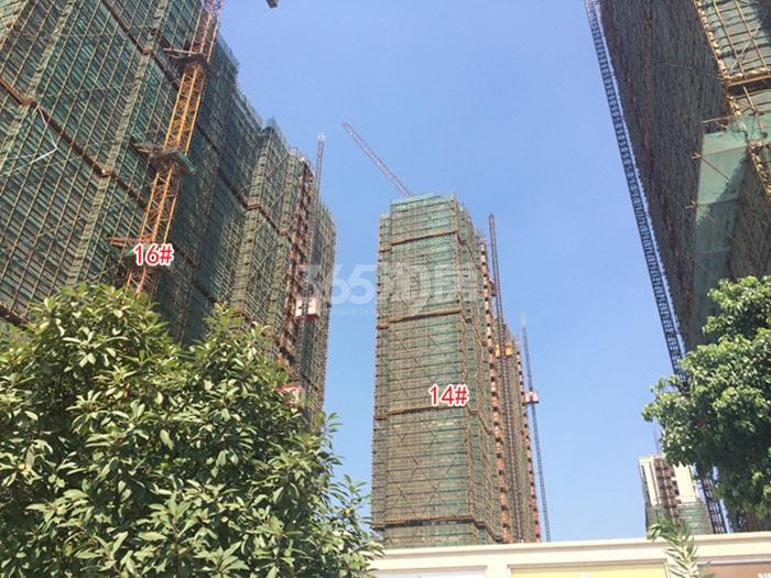 2015年8月大家运河之星项目实景--14、16号楼