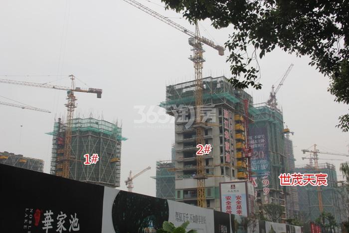 滨江华家池1、2号楼施工进度实景图 2015年9月摄 