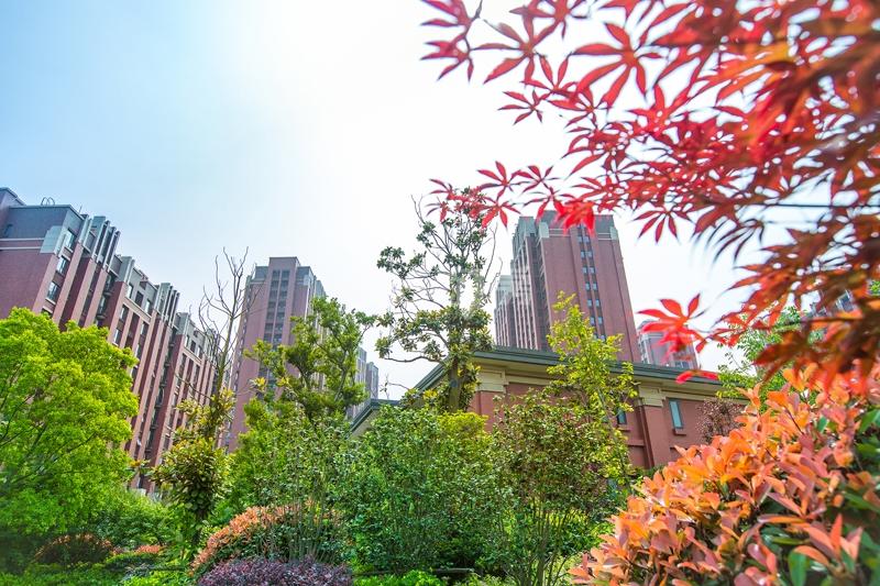 中铁逸都项目实景图