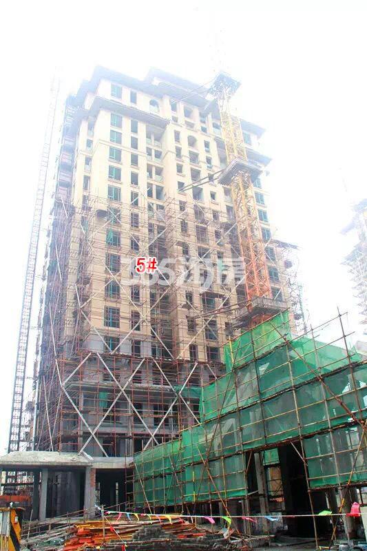 绿城蓝庭项目5号楼施工进程图（2015.12）