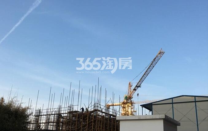 言情小说作家排行榜_迷失之城-高清视频在线观看-芒果TV