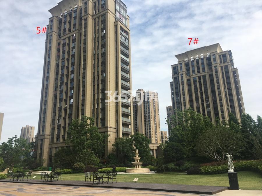 百翘香江5、7号楼实景图 2017年5月摄