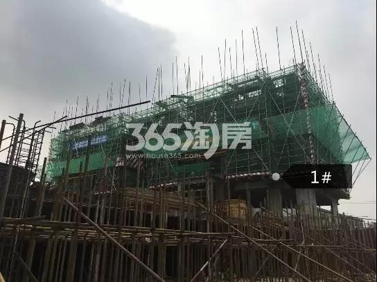 碧桂园正荣悦玺1#楼五层墙柱模板安装（2017.8.30）